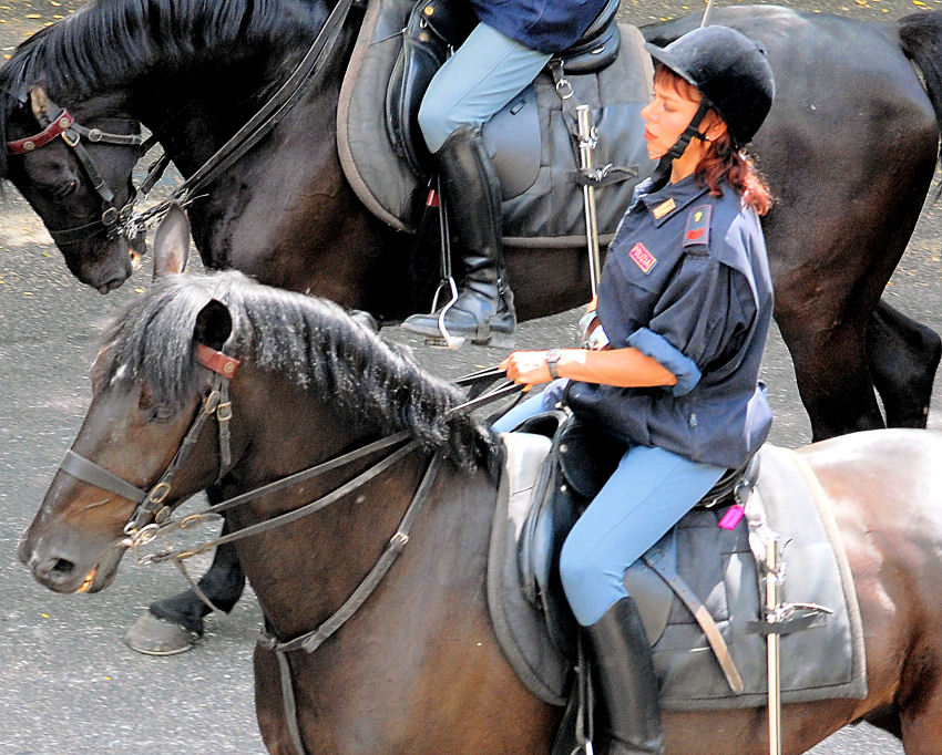 Xilocopa e ancora polizia a cavallo